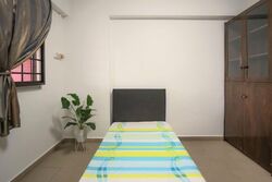 Blk 221 Kovan Green (Hougang), HDB Executive #572710861